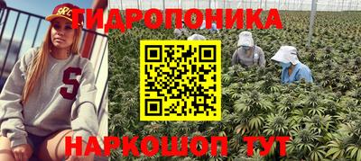 СК Малгобек