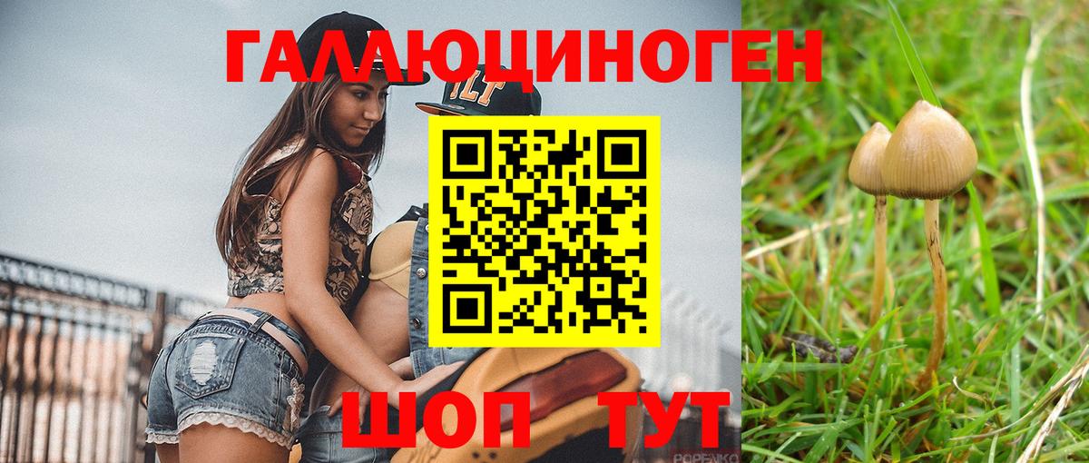 Галлюциногенные грибы Magic Shrooms  Вход с VPN  Ялта 