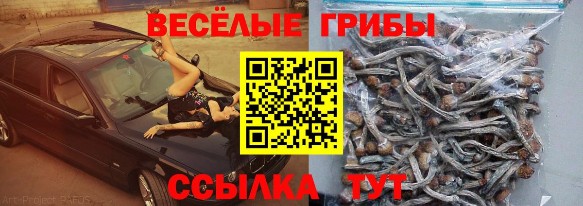 Псилоцибиновые грибы Magic Shrooms Ялта
